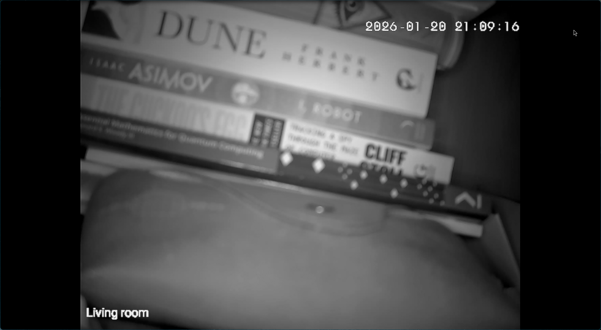 Livestream of IP camera